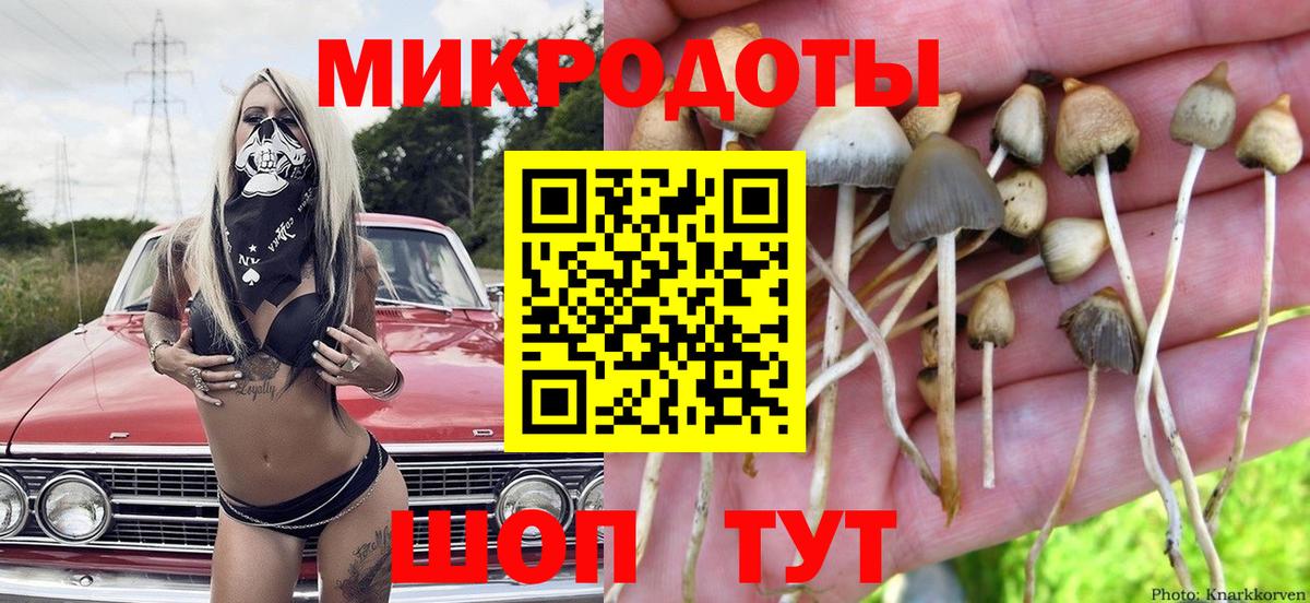 Галлюциногенные грибы ЛСД Кизилюрт